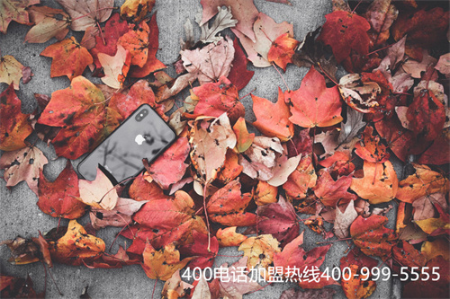 (國(guó)際400電話)(400電話怎么打國(guó)際長(zhǎng)途)