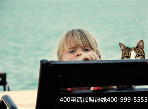 (400電話公司)(400電話 公司)