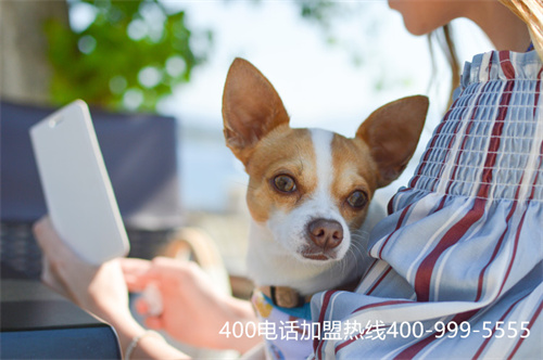 (400電話官方申請)(400電話是怎么申請的)