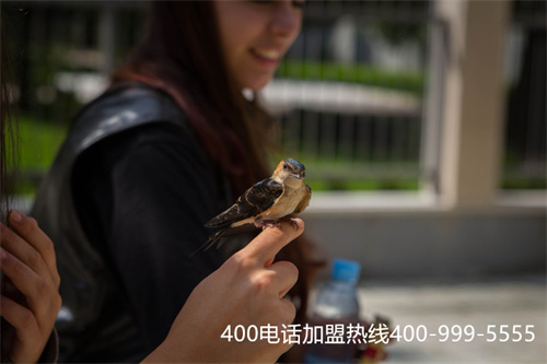 (淄博400電話的特點)(企業使用400電話的特點表現有哪些？)